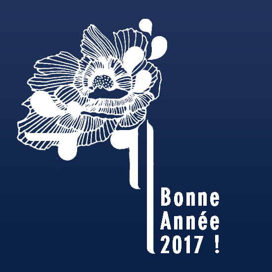 Bonne année2017