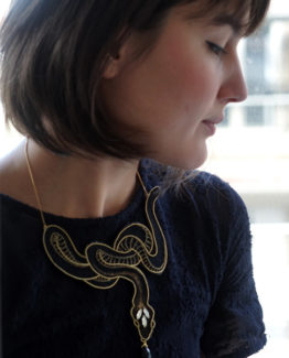 PetitDragon-Plastron2