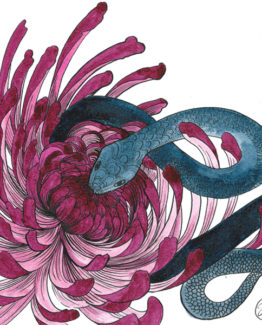 Esop-serpentetfleurs3