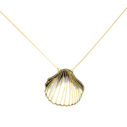 eshop-coquillage1