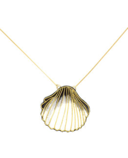eshop-coquillage1