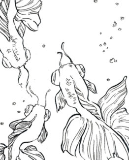 Coloriage Kingyo3