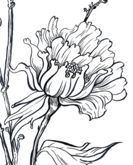 Coloriage-eshop