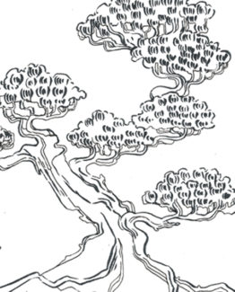 coloriage-bonzai2