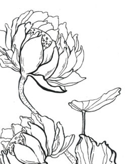 coloriage lotus1
