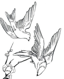 coloriage oiseaux2