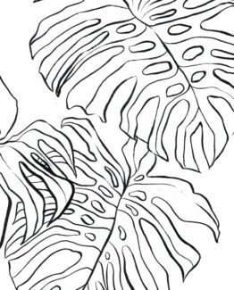Coloriage Monstera1