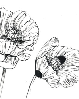 Coloriage Opium1