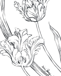 Coloriage Tulipe