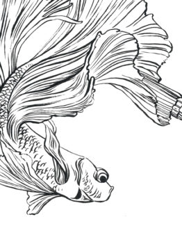 coloriage combattant1